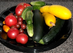 An example of our garden harvest