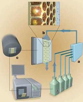 Pyrosequencing machine from Margulies et al 2005