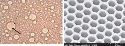 Beads droplets and wells for pyrosequencing from Margulies et al 2005