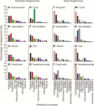 Percentages of gene function of bacterial and viral gene function from Dinsdale et al.